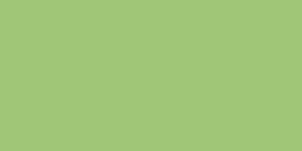 Amostra de cor para o código hexadecimal #a0c677