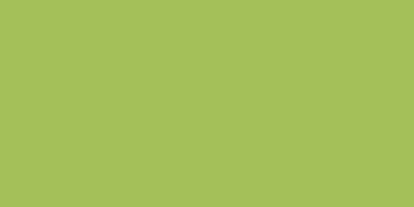 Amostra de cor para o código hexadecimal #a1c057