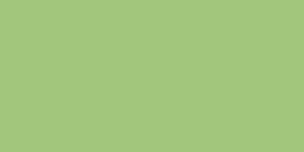 Amostra de cor para o código hexadecimal #a1c67c