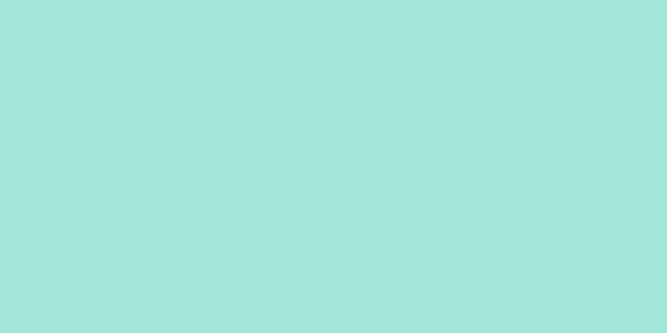 Amostra de cor para o código hexadecimal #a1e6d9