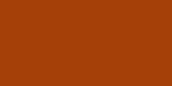 Amostra de cor para o código hexadecimal #a54009
