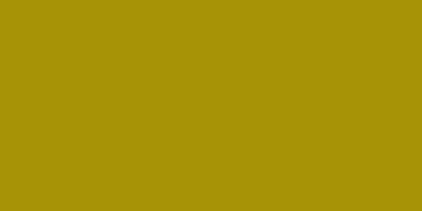 Amostra de cor para o código hexadecimal #a79306