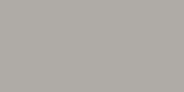 Amostra de cor para o código hexadecimal #afaba6