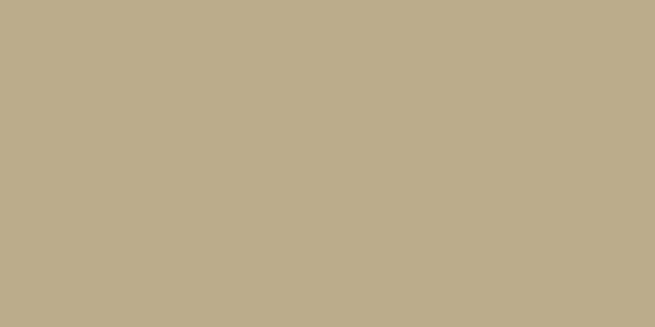 Amostra de cor para o código hexadecimal #bbaf8b