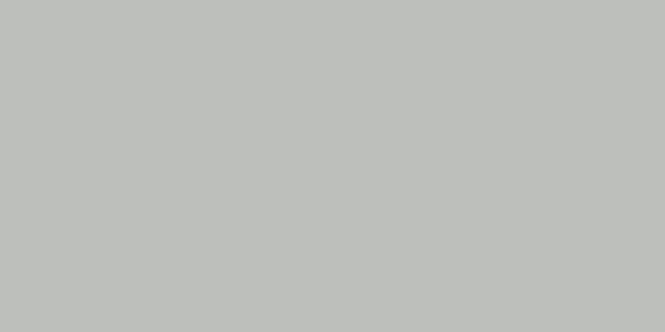 Amostra de cor para o código hexadecimal #bdbfbb