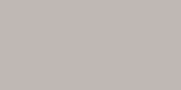 Amostra de cor para o código hexadecimal #bfb8b4