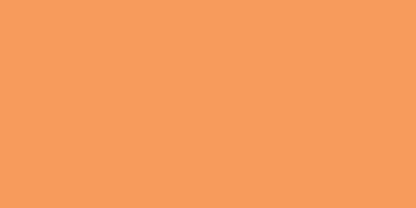 Amostra de cor para o código hexadecimal #f79b5c