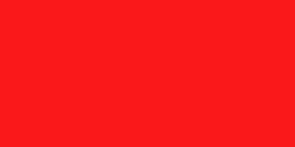 Amostra de cor para o código hexadecimal #f9191b