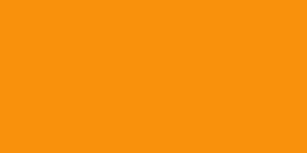 Amostra de cor para o código hexadecimal #f9910c