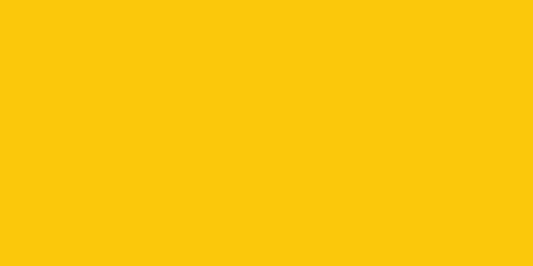 Amostra de cor para o código hexadecimal #f9c808