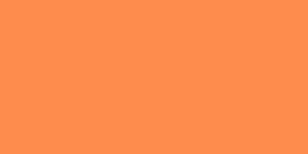 Amostra de cor para o código hexadecimal #fd8b4c