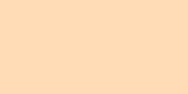 Amostra de cor para o código hexadecimal #ffdbb6